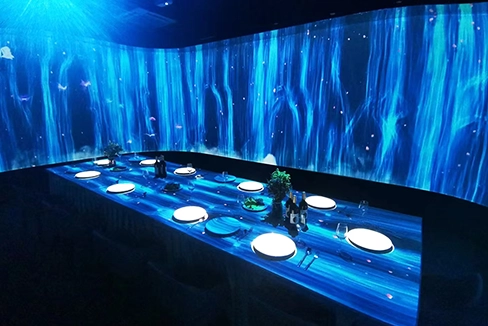 Immersive Restaurant Projection