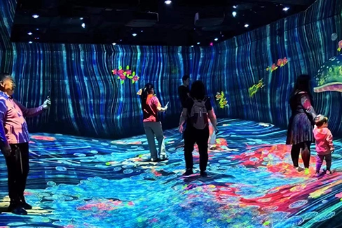 immersive interactive projection
